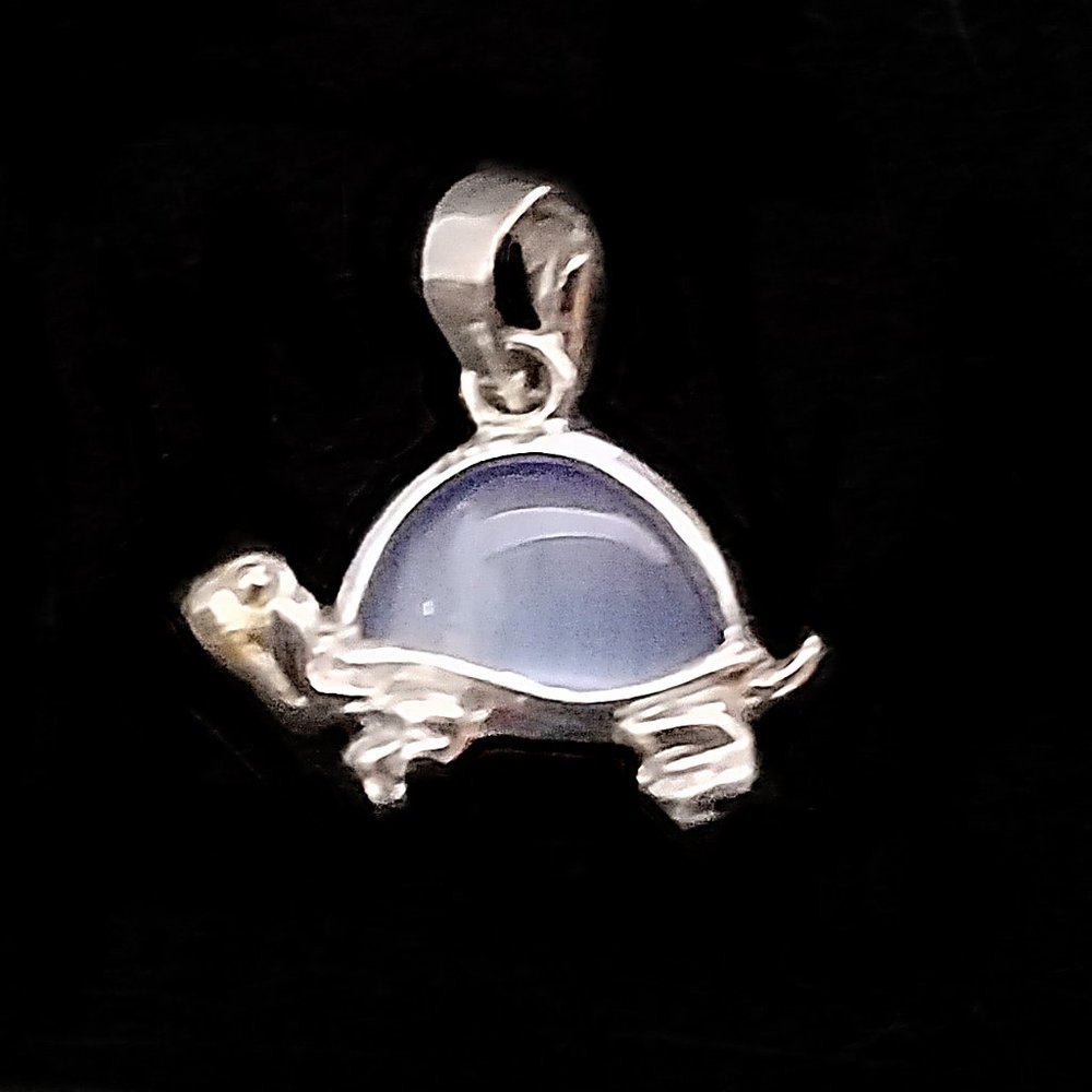 Anklet 925 Sterling Silver Chain and Turtle Charm - Picture 1 of 5